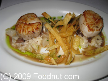Flora Oakland Scallops and Oxtail