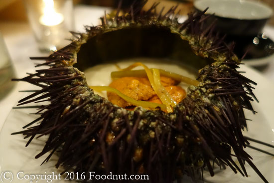 Cala San Francisco Tamal de cazuela sea urchin