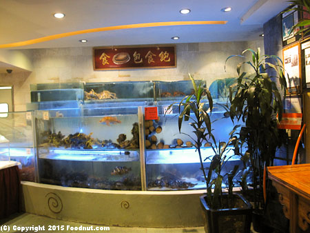 Koi Palace Daly City Dinner Seafood tanks