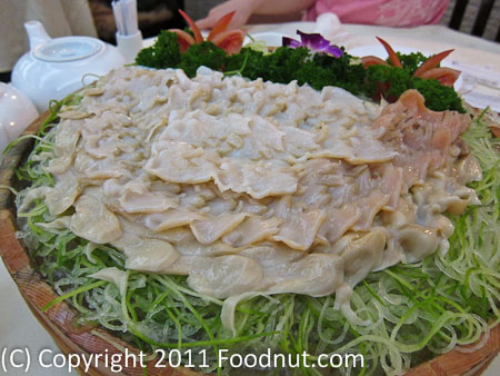 Loaf On Sai Kung Hong Kong Geo duck clam