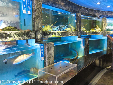 South Sea Fishing Village Guangzhou China Seafood Tank